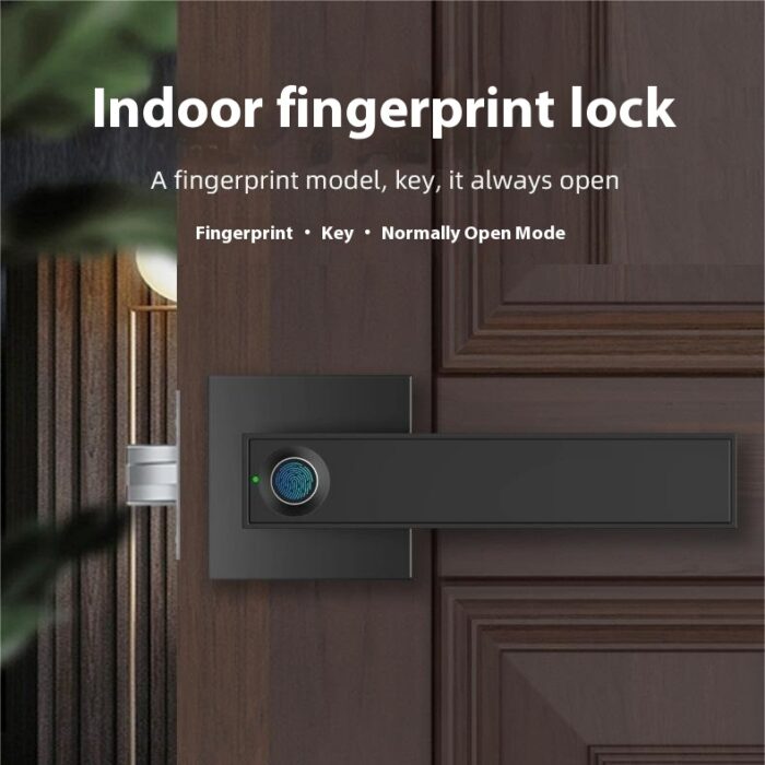 Indoor Door Office Wooden Door Fingerprint Lock Household - Image 1