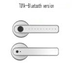 Graffiti Smart Spherical Door Handle Lock Wooden Door Fingerprint Password Lock - Image 9