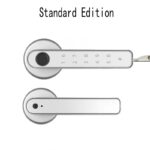 Graffiti Smart Spherical Door Handle Lock Wooden Door Fingerprint Password Lock - Image 7