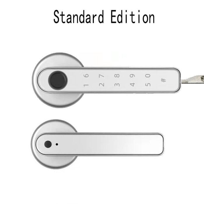 Graffiti Smart Spherical Door Handle Lock Wooden Door Fingerprint Password Lock - Image 7