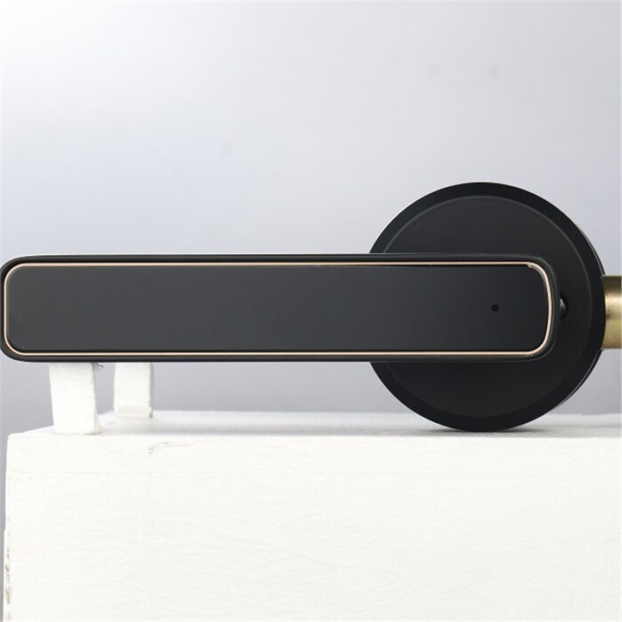 Wooden Door Fingerprint Lock Spherical Smart Lock Bedroom Door Graffiti Bluetooth - Image 3