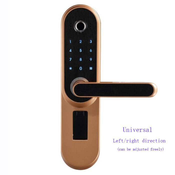 Fingerprint password lock door - Image 1