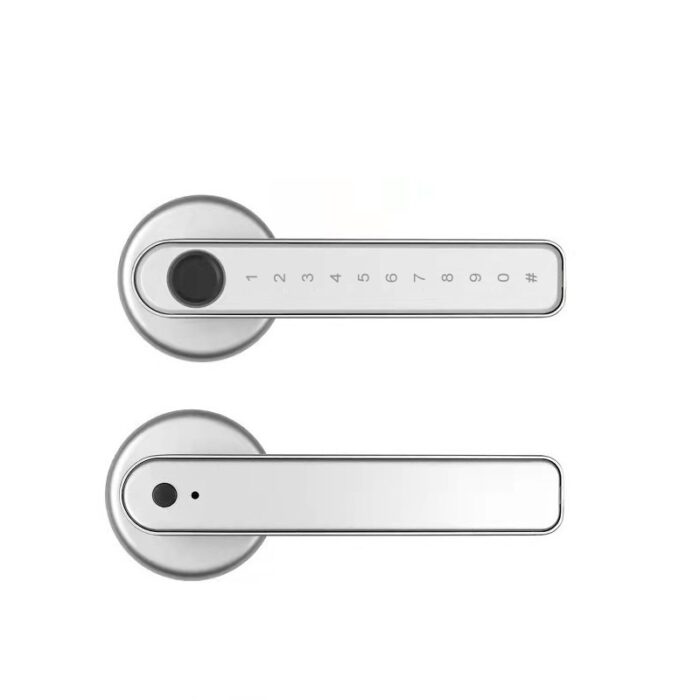 Graffiti Smart Spherical Door Handle Lock Wooden Door Fingerprint Password Lock - Image 3
