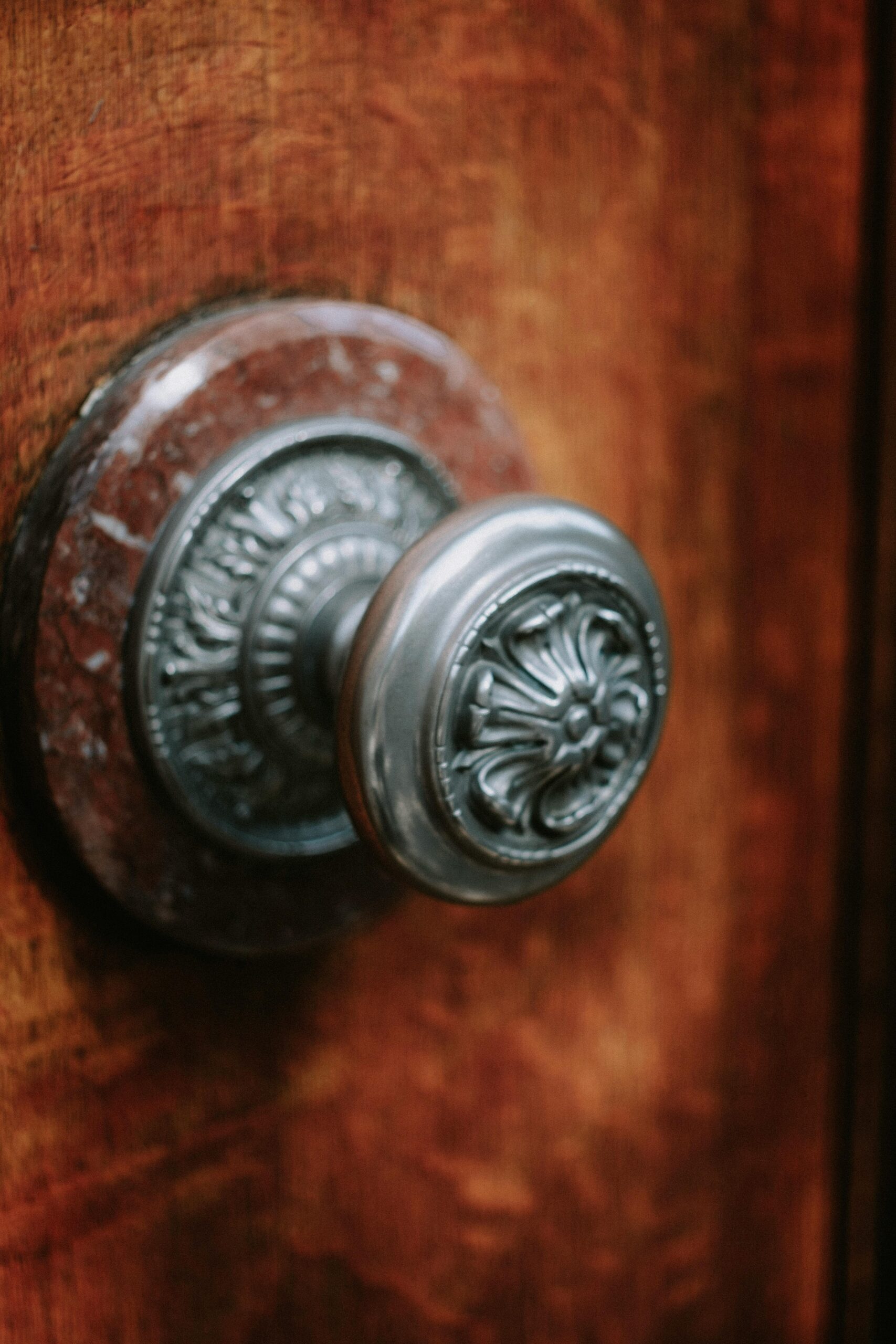 Close-up of a decorative silver doorknob on a rustic wooden door, showcasing intricate details.